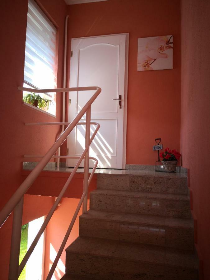 Kupola Apartman Сегед Экстерьер фото